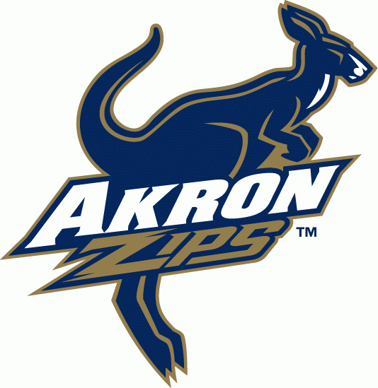 Akron Zips 2002-2007 Primary Logo heat sticker